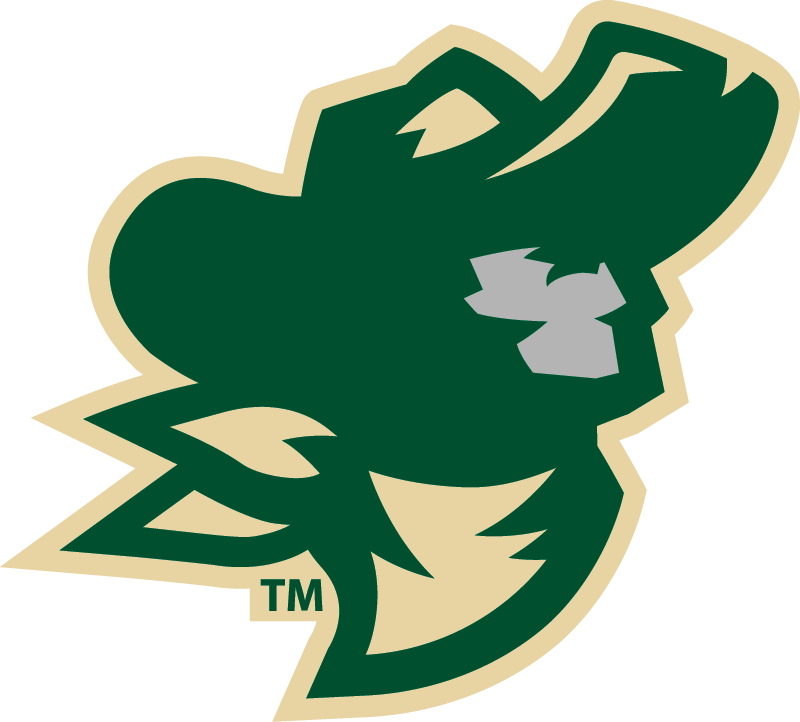 bassem_logo